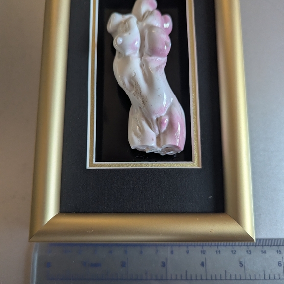 🗽 Hand blown Women's Torso In Frame - Picture 3 of 8